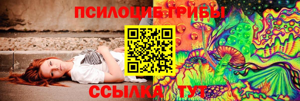 Галлюциногенные грибы прущие грибы Каспийск