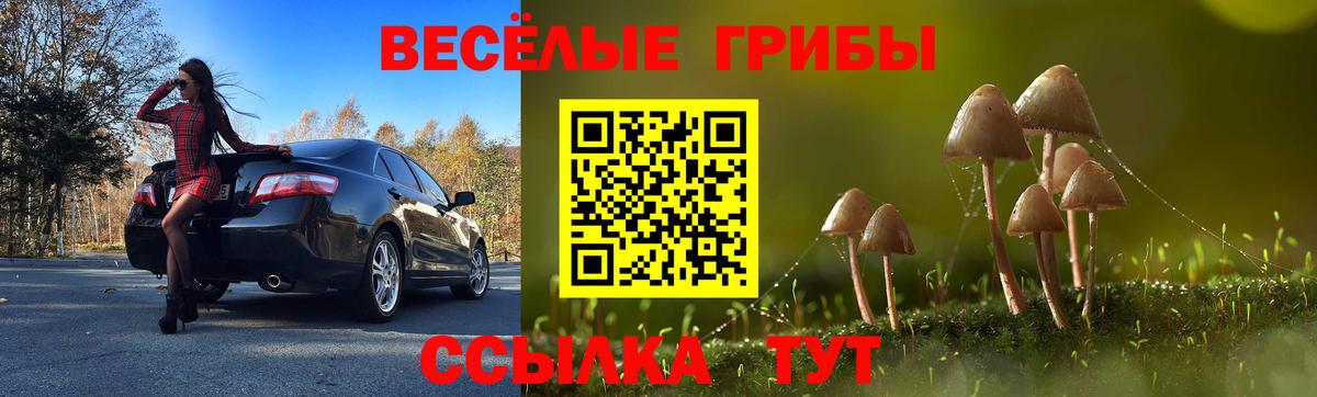 Галлюциногенные грибы прущие грибы  Вход с VPN  Каспийск 